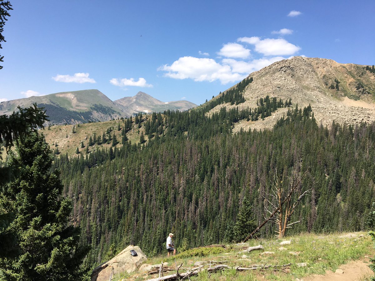 gardner_pj's tweet photo. 5 of us hiked Ptarmigan lake today. 12,129’ awesome views. 5 plus hrs. Lakes, flowers, creeks, grassy hillsides. Scenic views. Get outside! https://t.co/lq97dPcW5Z