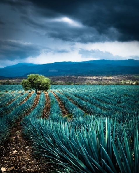 "Leadership and learning are indispensable to each other."
#JohnFKennedy
#GoodNightTwitterWorld
#leader #leadership #learning #indispensable