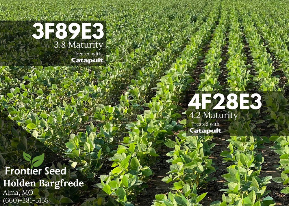 Holden Bargfrede tweet media