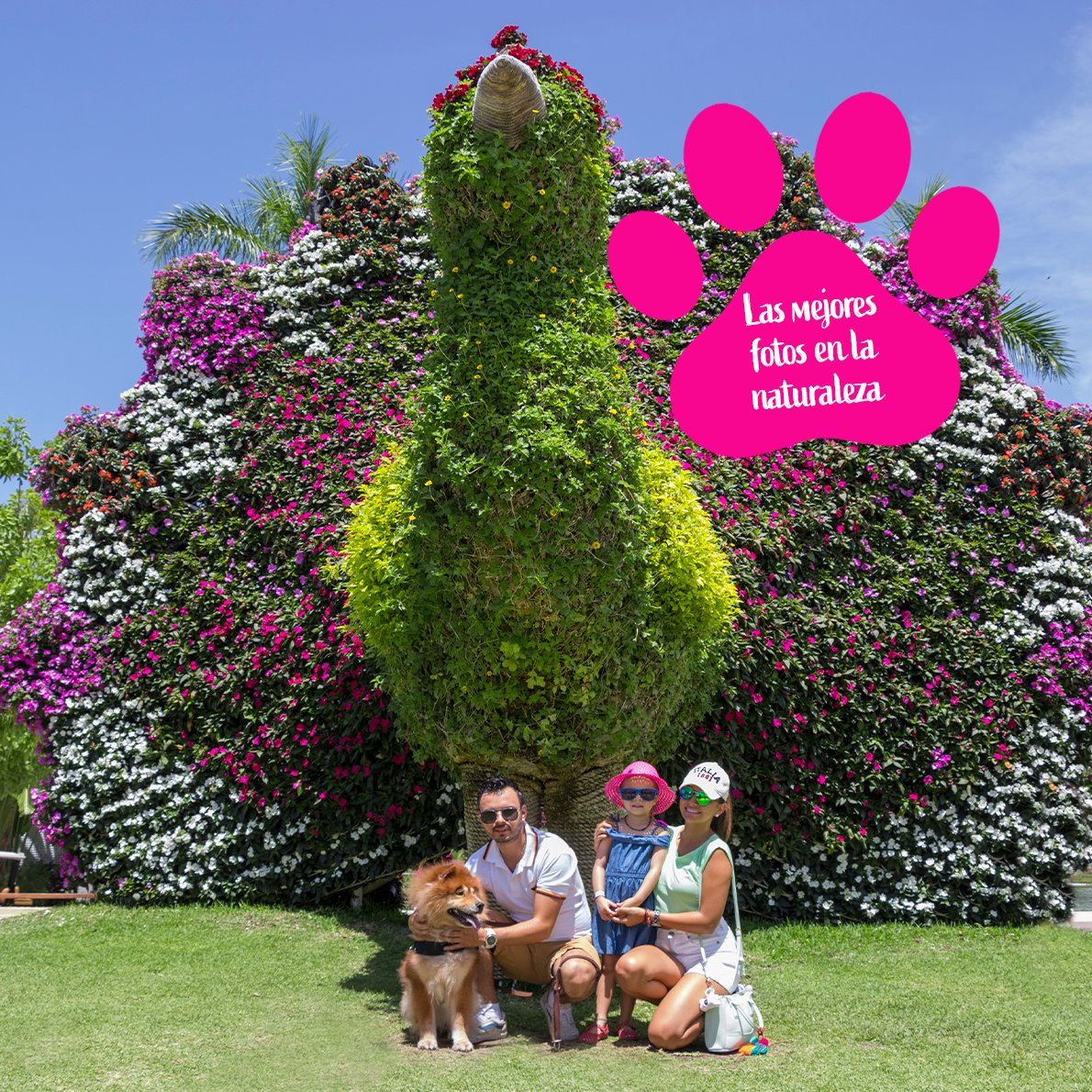 TheHiveTickets's tweet photo. Que nada te detenga este verano y escápate con tu peludito a los Jardines de México.

El lugar ideal por ser  #dogfriendly.

Compra tus boletos: https://t.co/4znvTHL3xU

#naturaleza #airelibre #cactus #jardines https://t.co/llm1mvpwfl