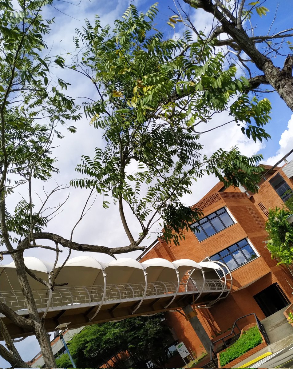 UcabGuayana's tweet photo. La #UCAB mantendrá el precio de la matrícula para el nuevo semestre. El Vicerrectorado Administrativo informó que, para el inicio del período académico 2021-2022, el costo base de la Unidad Crédito seguirá siendo el equivalente a 10 dólares.

+Info aquí ➡ https://t.co/QcN42ekpRv https://t.co/Ea8bVw6uge