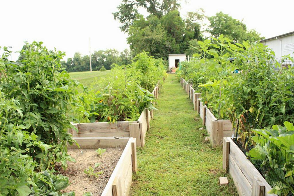 Ray Simpkins tweet media