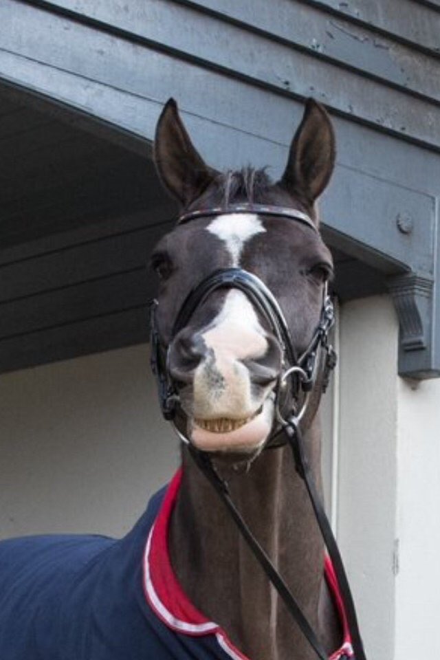 Audrey 🎄🎅🏻☃️ tweet media