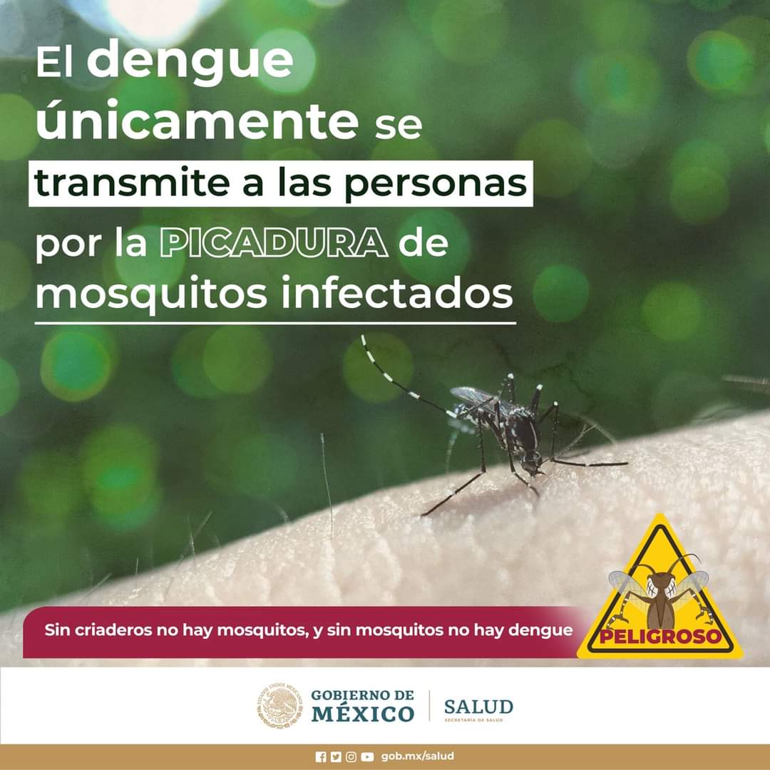 SSJ2_Acuna's tweet photo. Es necesario eliminar posibles criaderos de mosquitos y llevar a cabo las medidas de protección personal, para evitar ser picado.

#EliminaAlDengue https://t.co/mEvuPpBOBr
