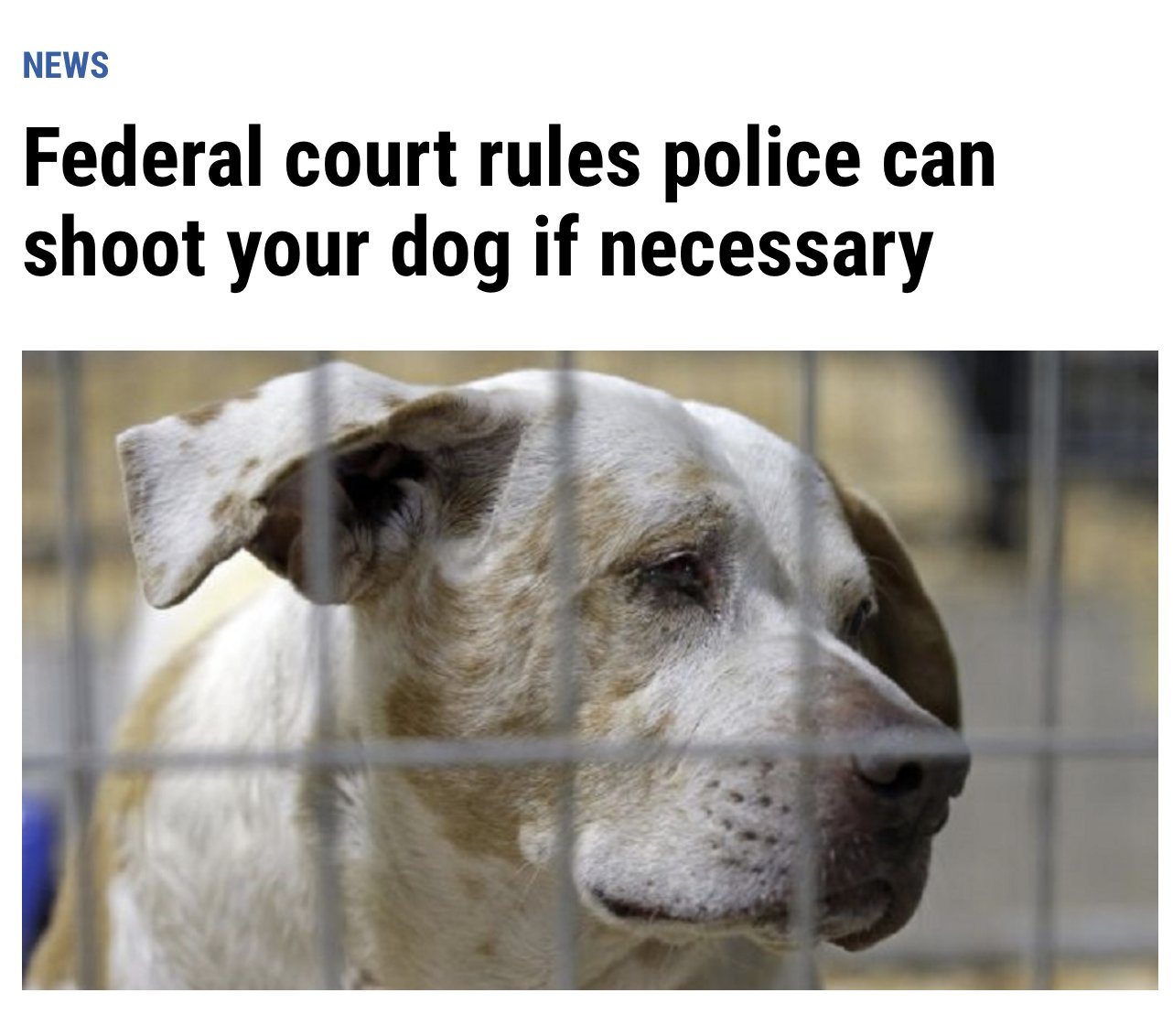 - https://t.co/GfqwqHWv7Y ADMIN