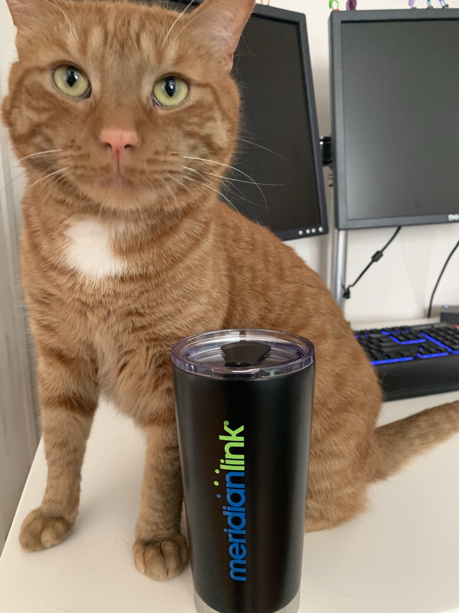 NoetheSharon's tweet photo. CRUSH the Cat is Crushing on MeridianLinkβ¦MeridianLink security. No one gets by on my watch. #MeridianLinkIPO #MeridianLinkWorkBuddy https://t.co/Q9MpwTGwlp