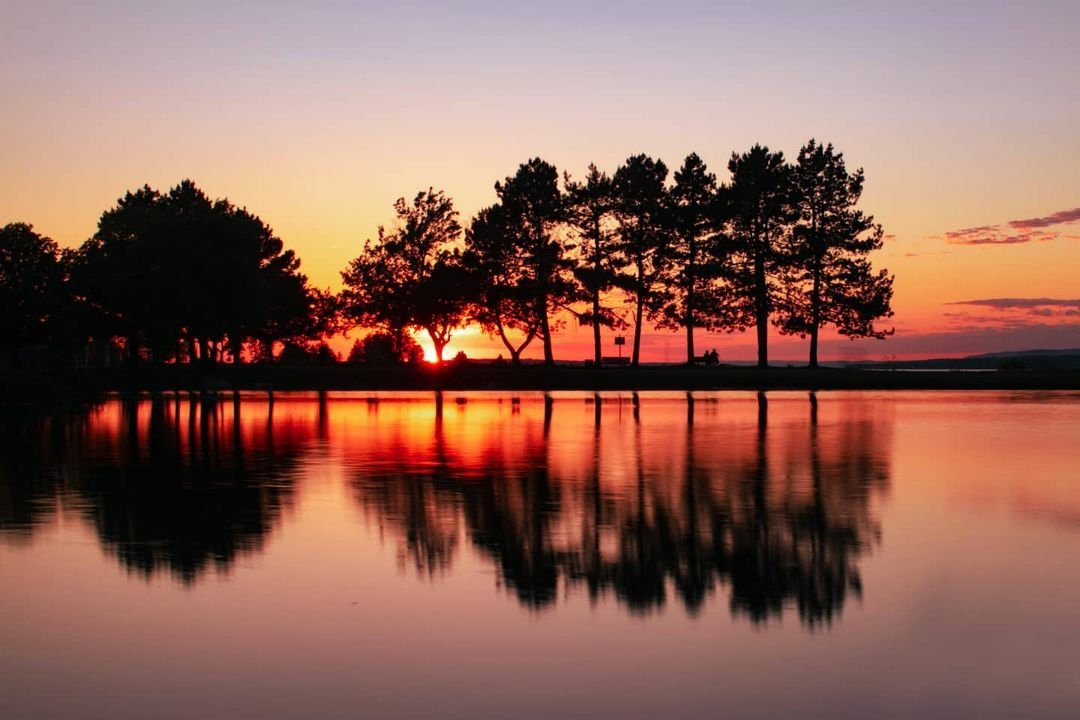 We love the symmetry here! RT if you do too! (Captured w/ #Nikon D5600 &amp; 18-55mm lens at Andrew Haydon Park #Ottawa)  📷:photography.by.tricia/IG

Looking to print your images? Learn more about how we can help you build your #photography business: prolabcanada.ca/difference