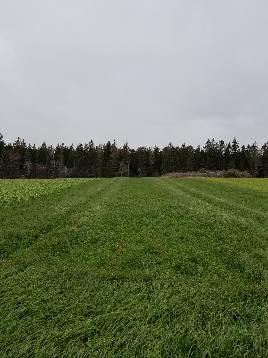 AAFC Canada tweet media