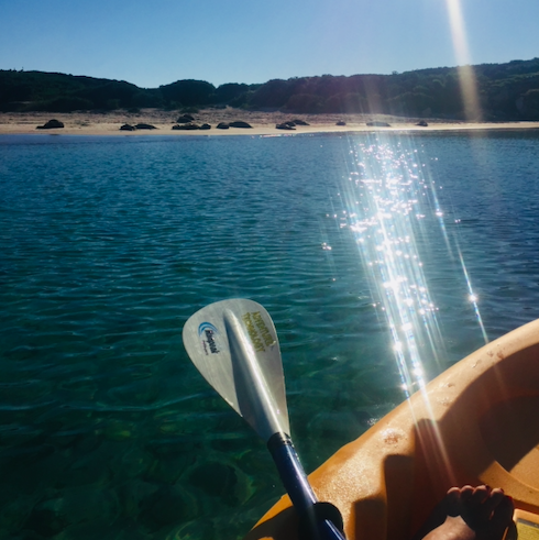 Travelaura_'s tweet photo. What a great day canoeing at the Shoalwater Marine Park. I seen plenty of seals! Finished with a dip at Point Peron & watching the sunset #AnotherDayInWA #OnlyInWA https://t.co/TOmlbm7EbB