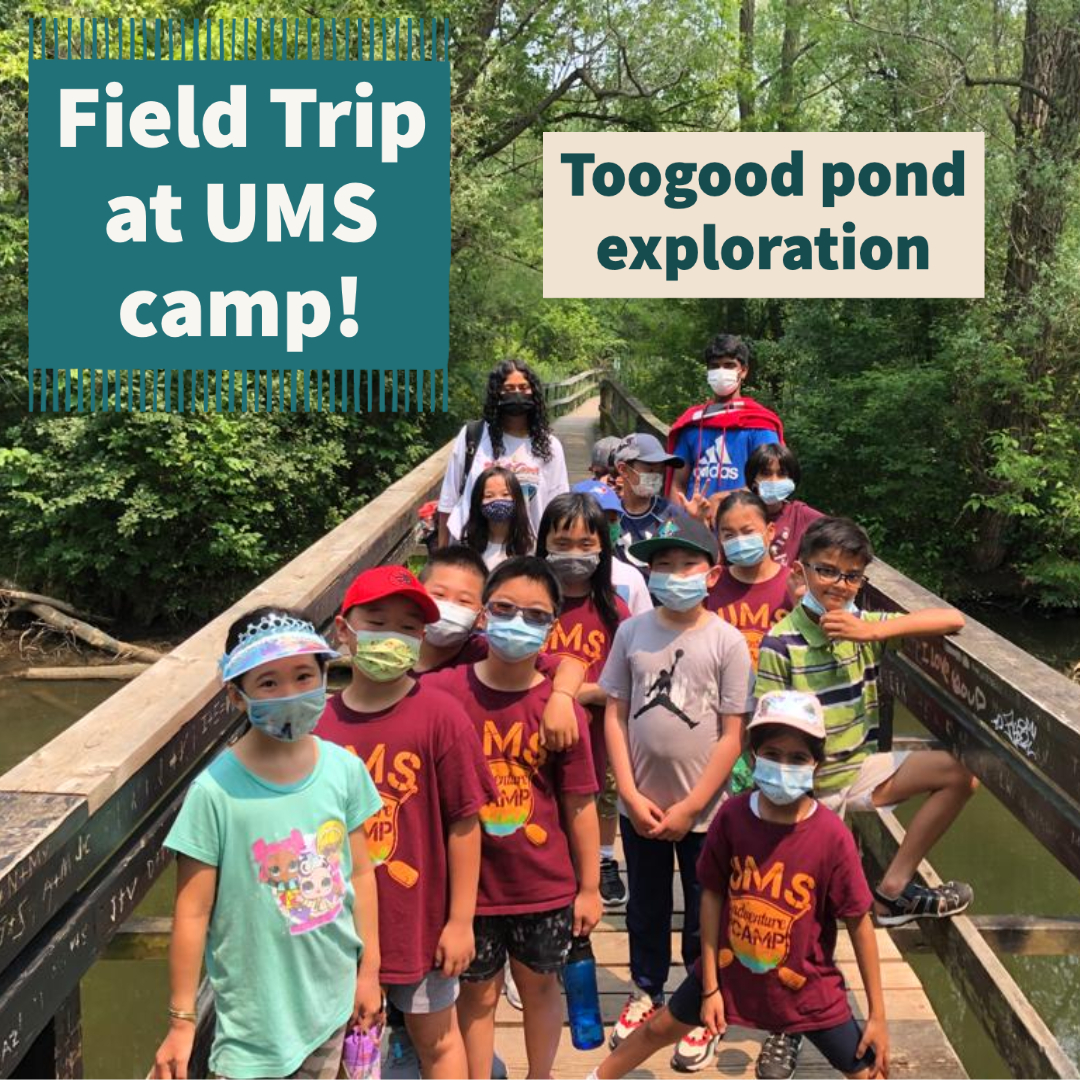 UC_InTouch's tweet photo. Today's post is all about nature exploration — our UMS campers going on one of their many exciting field trips, and a #STEAMFORSUMMER fact about Ontario's forests! 🌲🌳🌱 https://t.co/2e9PGY9NJU