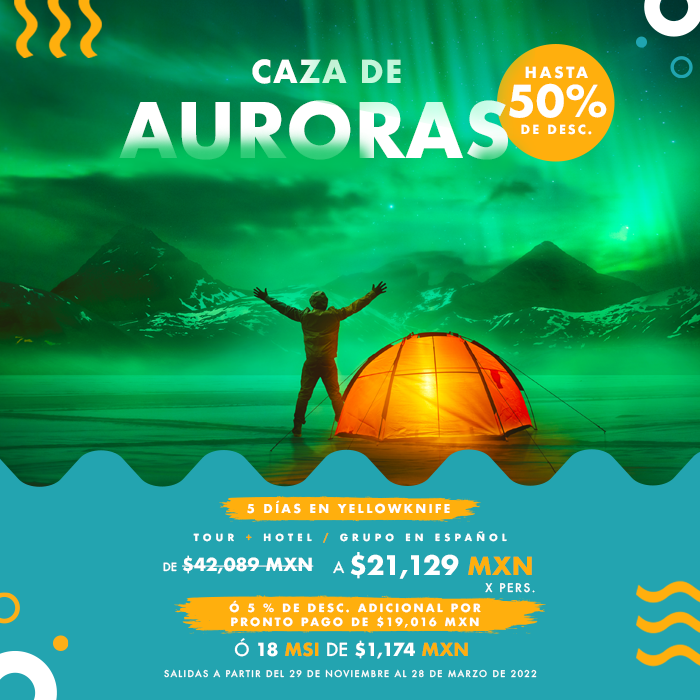 mundo_joven's tweet photo. 🔥¡Ya llegó el #OutletDeViajes!🔥😍 ¡CHECA TODAS LAS PROMOS QUE TENEMOS!
Hasta 🔥50% de desc.🔥 ó hasta 18 MSI💳 en los siguientes destinos📍
📅 Consulta más en: https://t.co/z8agsAABzE
📱 WhatsApp: 55 8753 1623
🏪 Llámanos o visita tu sucursal: https://t.co/CUveudLue6 https://t.co/wuXeIOUP3h