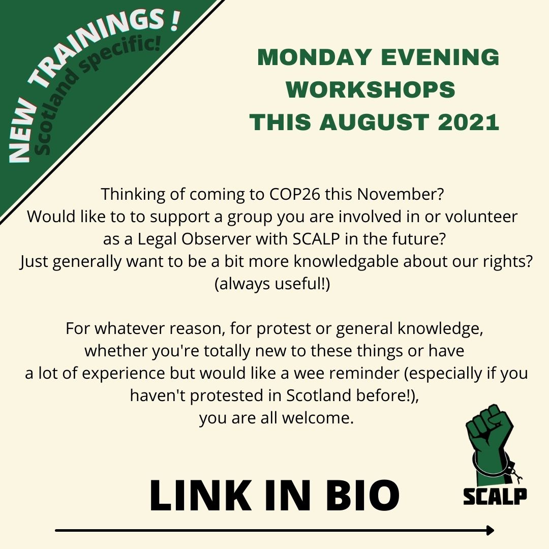 Jimmy Bumblebee (@JimmyBumblebee) | Twitter