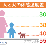 人間よりも実は危険？愛犬の熱中症や火傷に注意!