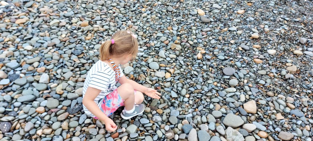 SimpleHonestly's tweet photo. may came home with a smooth round stone
as small as a world and as large as alone.

For whatever we lose(like a you or a me)
it's always ourselves we find in the sea
e.e cummings https://t.co/aJmId3Uihz