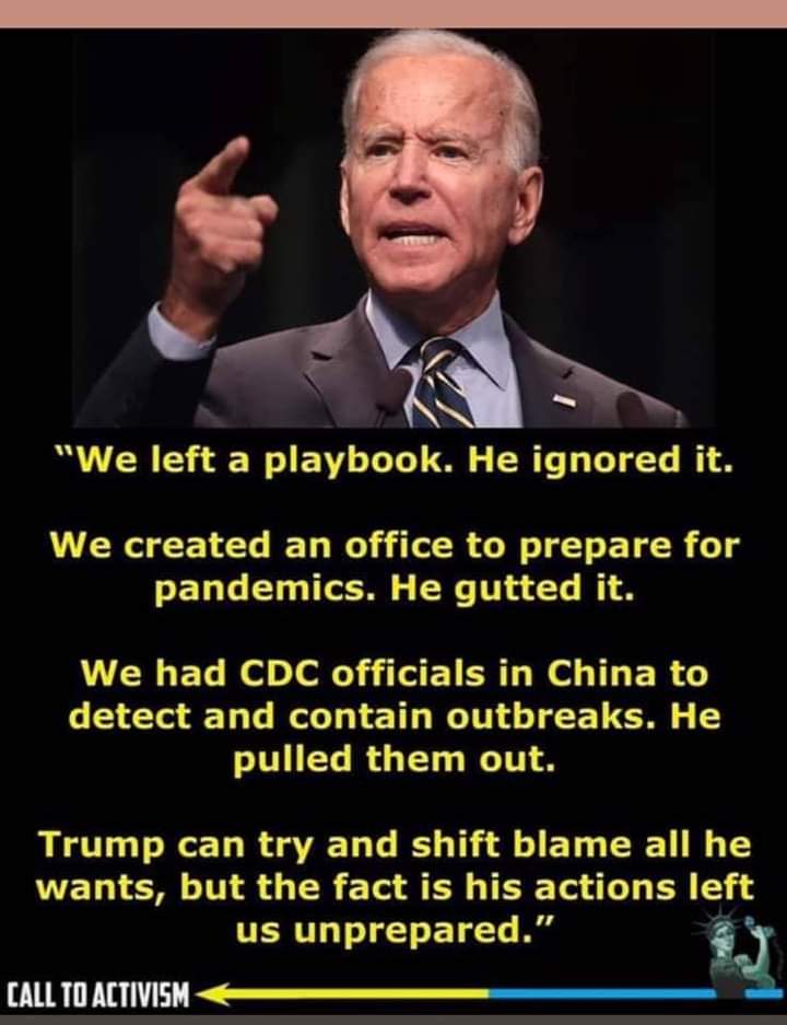 LittleMexicanBirds (@birdsmexican) on Twitter photo 