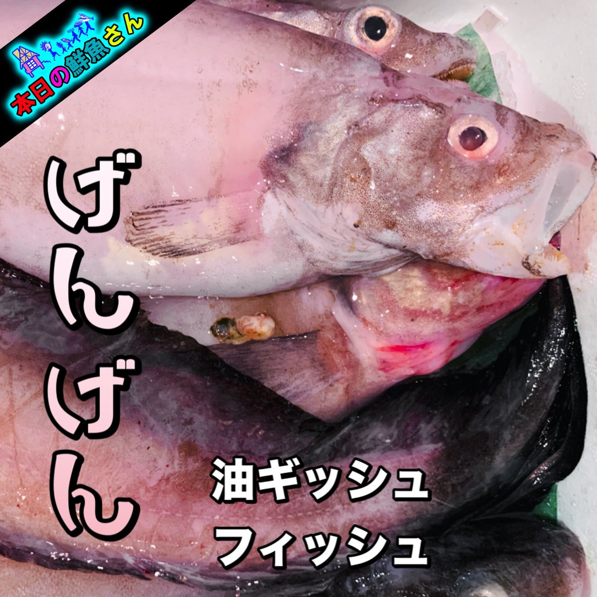 Aoike 青池水産株式会社 A Twitter 油ギッシュフィッシュ げんげん 又は ゲンゲ 深海魚で漢字で 幻魚 と書きます 名前からすると高級魚に見えるけど ゲンゲの由来が 下の下 カニや白エビの網にたまたまかかる感じのお魚 ただコラーゲンも多く最近見直され