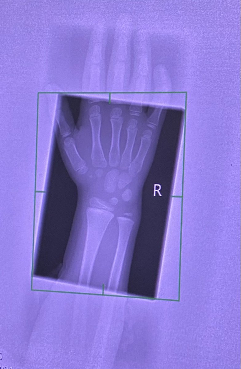 Tim Behrens tweet media