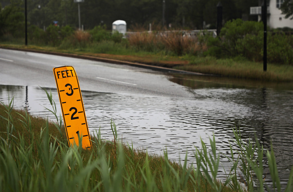 cbnerr's tweet photo. You (a coastal VA resident) + flooding. What's the story? Share it with @NatResourcesVA, by taking this survey (https://t.co/pnG7c3HXuA) or taking the π€ at a local meeting (https://t.co/59cDwd71Ka). #VACRMP #resilientcommunities #resilientcoast Credit: Aileen Devlin @vaseagrant https://t.co/p56UcRnPkV