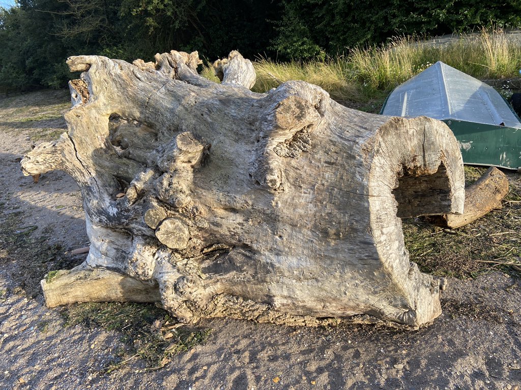 bernoid's tweet photo. Log of the week #LogOfTheWeek https://t.co/f0CQX2aO2I