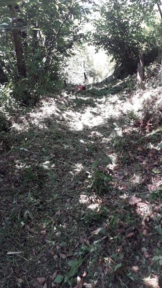 Ayto_Bimenes's tweet photo. Dellos trabayos de llimpieza na ruta Los Molinos.

#rutalosmolinos #bimenes https://t.co/f3P3s25ohp