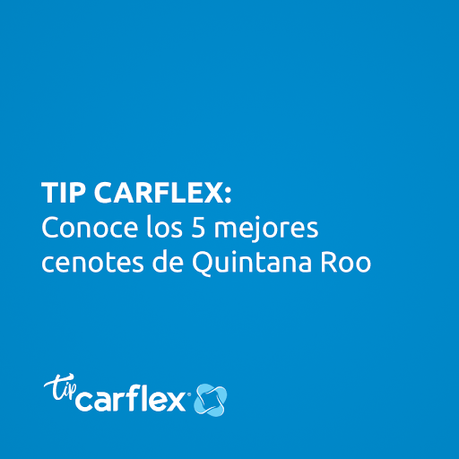 CarflexRentACar's tweet photo. En Carflex te dejamos los 5 cenotes de la zona para que los recorras todos en tu Carflex. Lo mejor, ¡todos están a menos de 30 minutos! https://t.co/CQ29L0iIJn