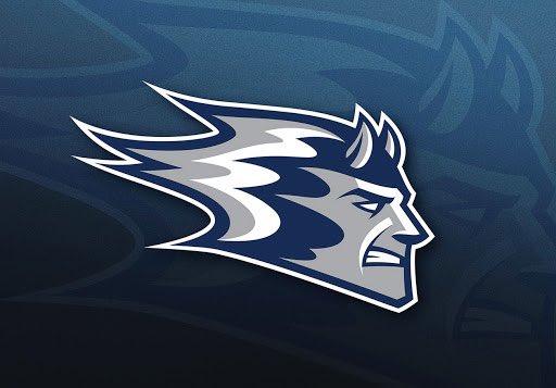 rosellawille's tweet image. Excited for this amazing opportunity! @BlueDevilsWBB @FHS_gbball @MinnesotaFury @GMacHoops