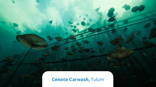 CarflexRentACar's tweet photo. En Carflex te dejamos los 5 cenotes de la zona para que los recorras todos en tu Carflex. Lo mejor, ¡todos están a menos de 30 minutos! https://t.co/CQ29L0iIJn