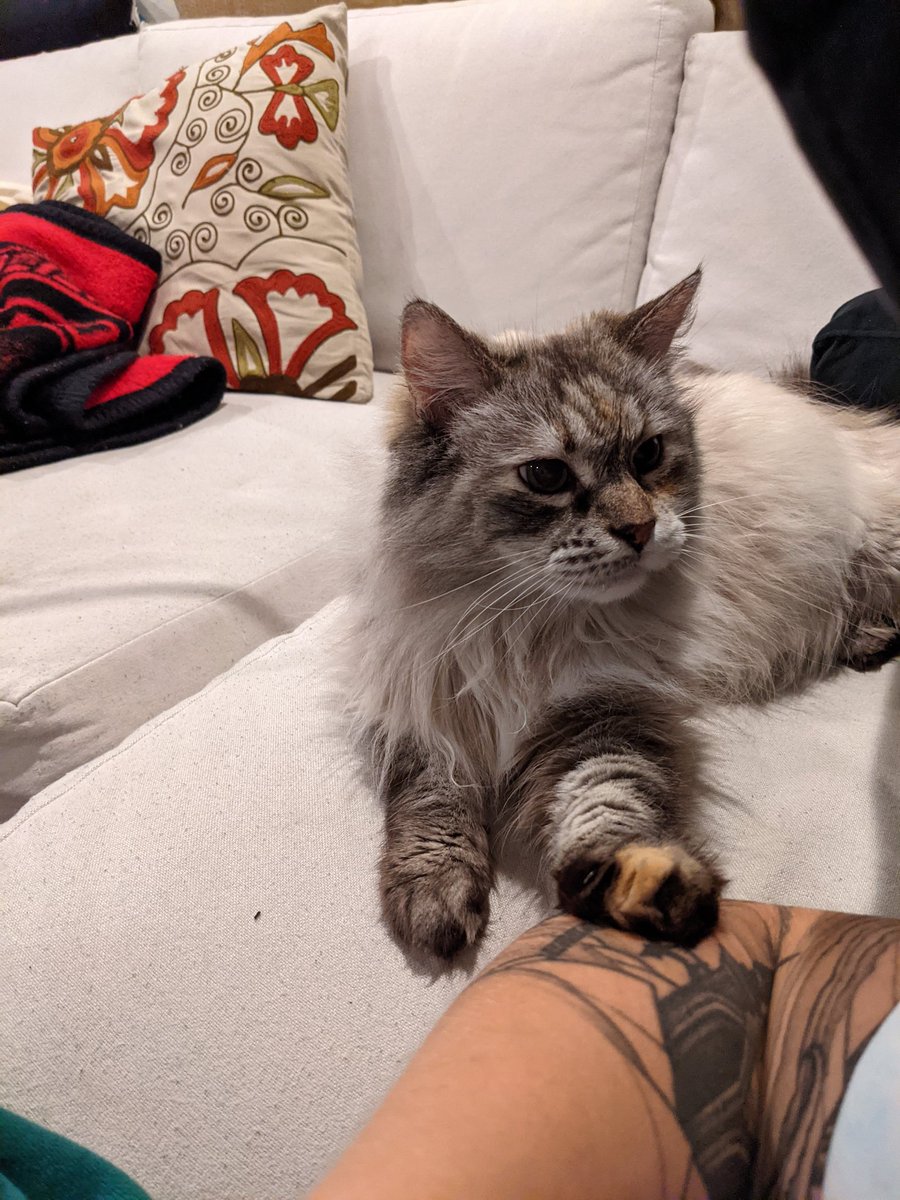 haley's tweet image. yes? what?