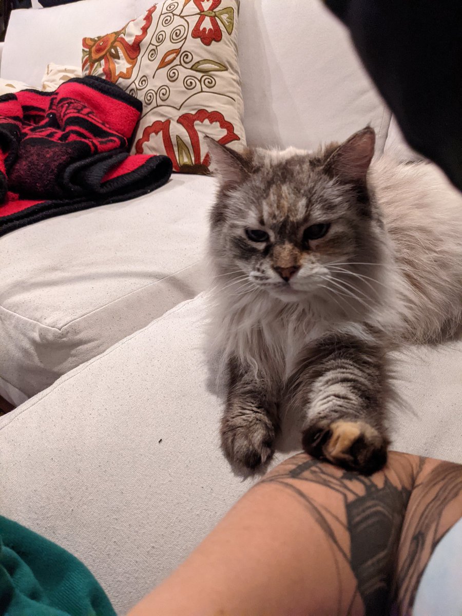 haley's tweet image. yes? what?