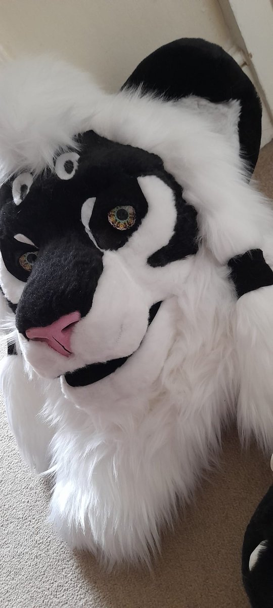starslikeroses's tweet photo. So I've decided to find a new home for my realistic lion partial! Information in the link and photos below! https://t.co/eHIUhqVwIe https://t.co/dMhSXuCwiZ