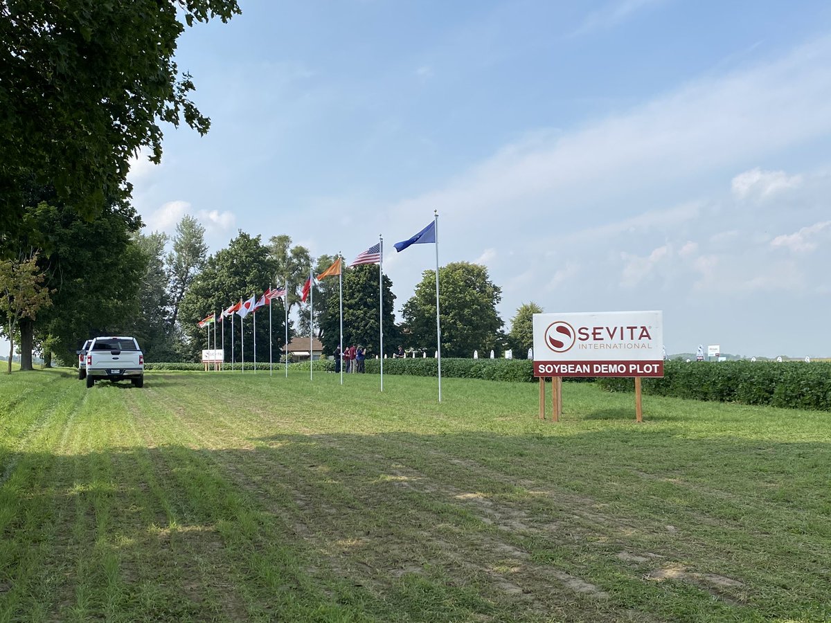 Seed Team meeting in the Woodstock plot familiarizing ourselves with our new #soybean varieties.