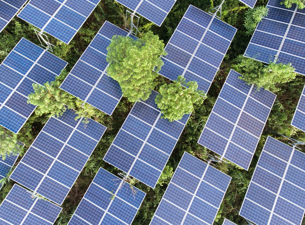 Solar panels in a wooded area
