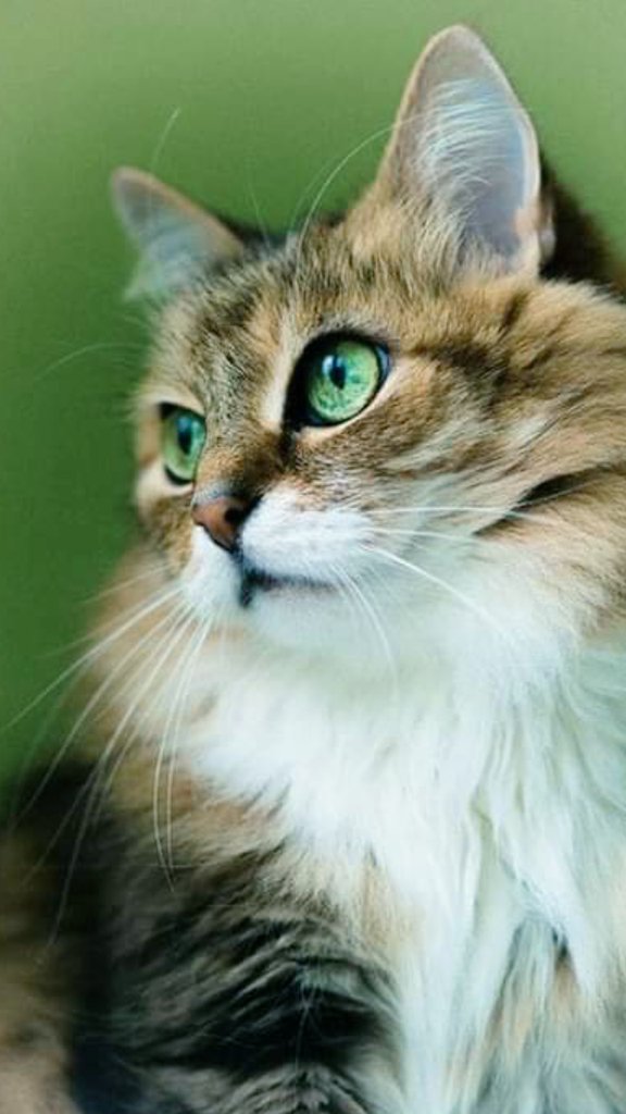 .......    STEVIE WONDER     .......
         Send One Your Love
... y sin esperar recibir nada ...
youtu.be/2CW0qL_fIdU