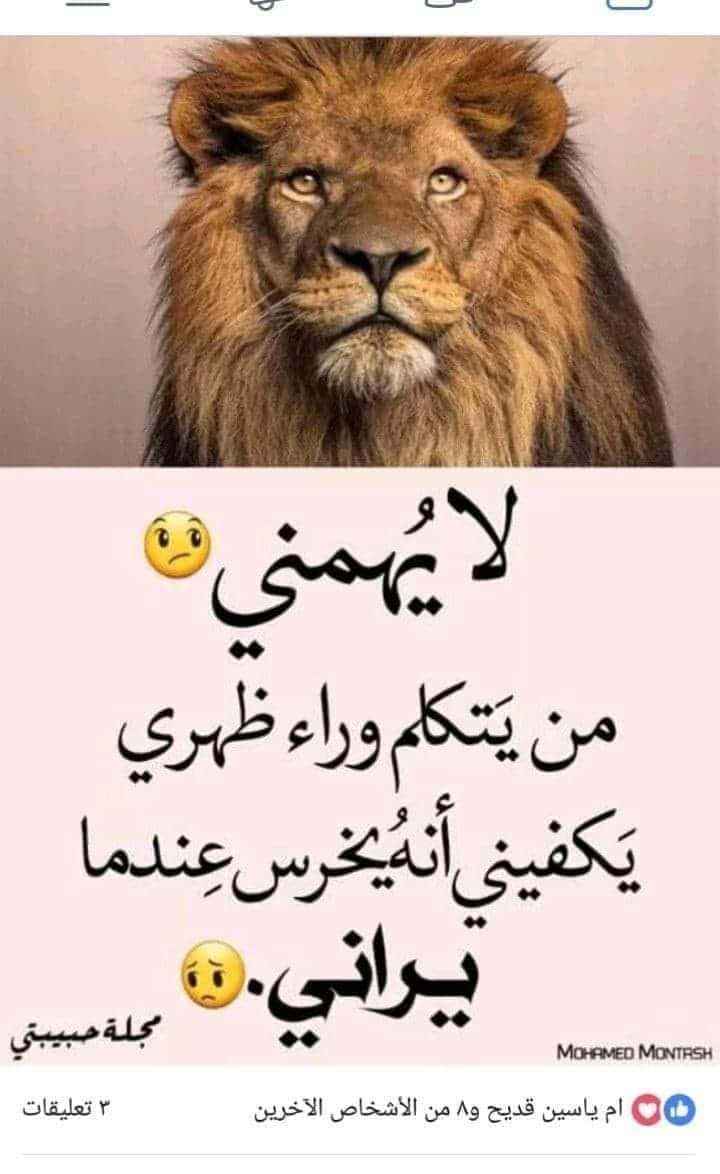 صقور لا تلهث (@vbmfoacommo2fen) on Twitter photo 
