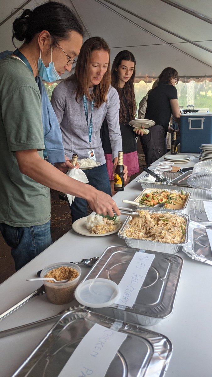 Lexi13's tweet photo. Tasty Thai dinner while enjoying a talk by Dyann Wirth, leader of the Harvard Malaria Initiative. Let's be safe but bold with our decisions, and a malaria vaccine may be within reach #mblbop #bop2021 #mblscience #malaria https://t.co/N9ndW06Owb