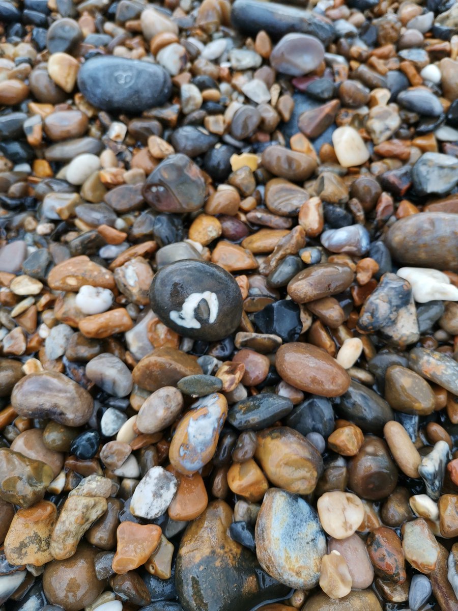 LostPens's tweet photo. Writing prompt...
Who has been leaving strange signs on the beaches?
What does the symbol mean?
Why is this rock important? https://t.co/NPU1TyhgUI