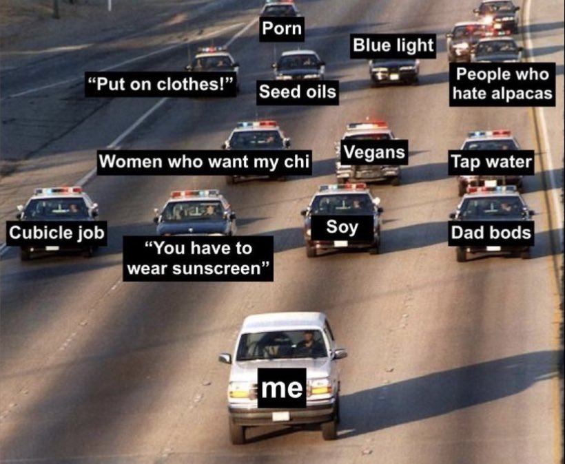 joeyyochheim's tweet image. 