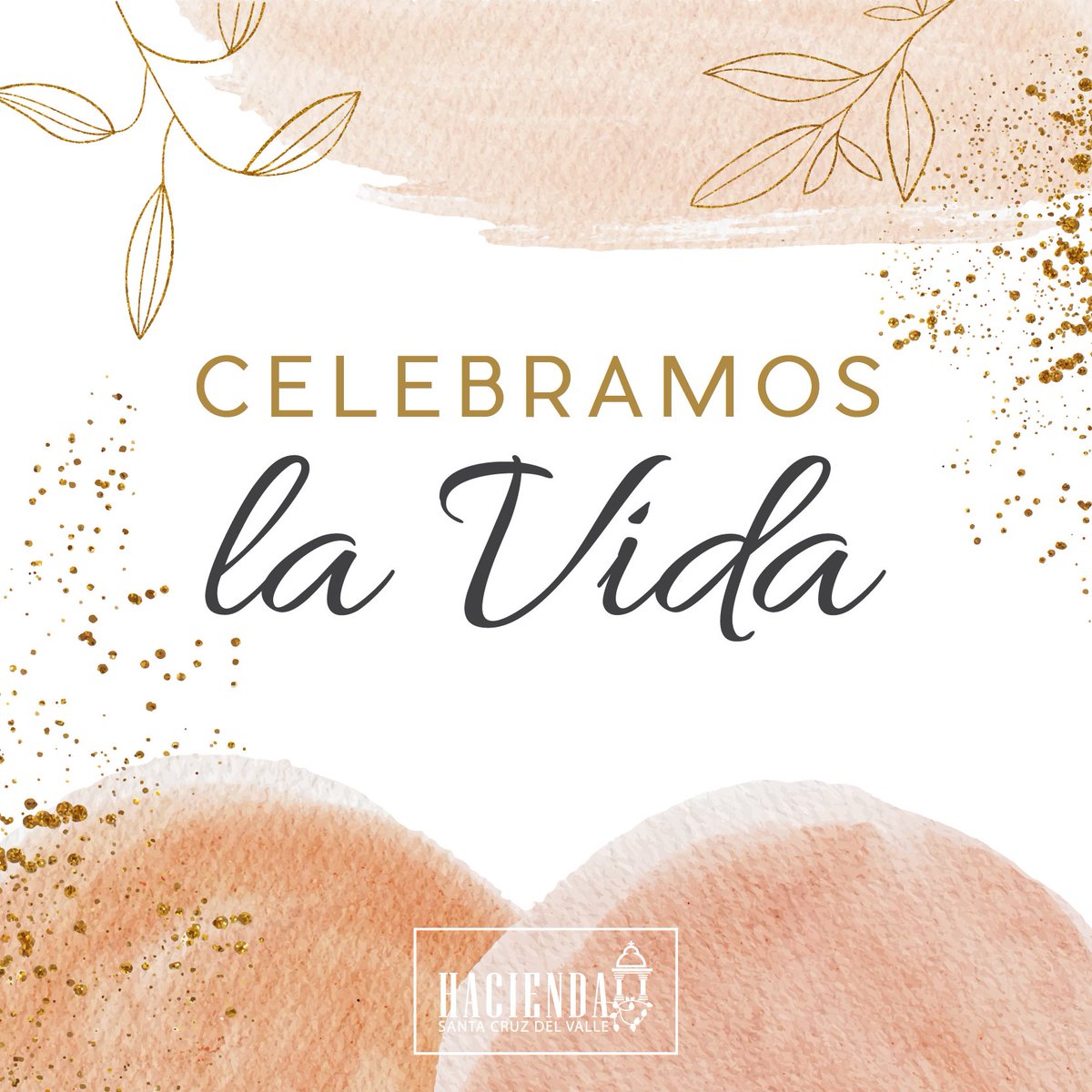 Convertimos cada ocasión en una gran celebración.