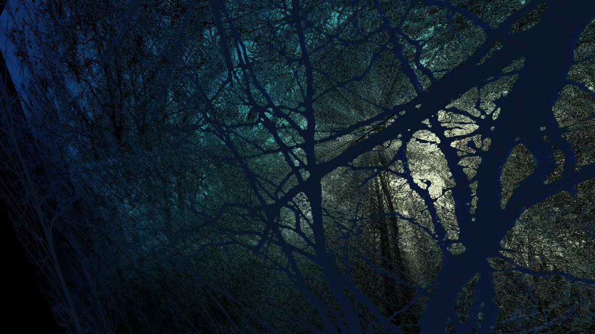 peeanopijloo's tweet photo. 'Multiple Trees II'
#photography #newNature #naturephotography #digitalillustration #digitalart #NFTs #NFTartist #glitchlab #pixelsorting #insta3d #NFT #blue #cyberNature #nftphotography #scifi #instatrees #wood #trees #3dArt #otherworld #cyberpunk #digitalphotography #nftart 👽 https://t.co/F1kHRK3z1d