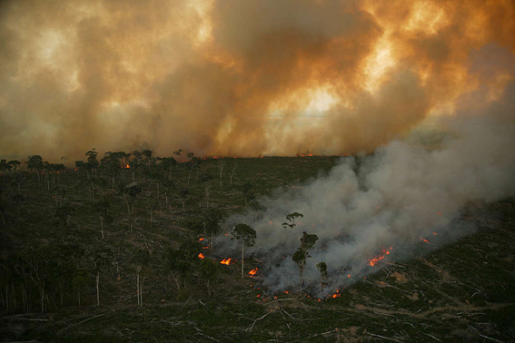 josephmjauregui's tweet photo. Países desarrollados suelen responsabilizar a subdesarrollados por el cambio climático. 

https://t.co/36AevVUtBb

Casi siempre mencionan el desmonte y la tala en el Amazonas, pero poco se dice sobre la misma situación en otros continentes.

Sale hilo👇 https://t.co/Xjr5TnvXQ7