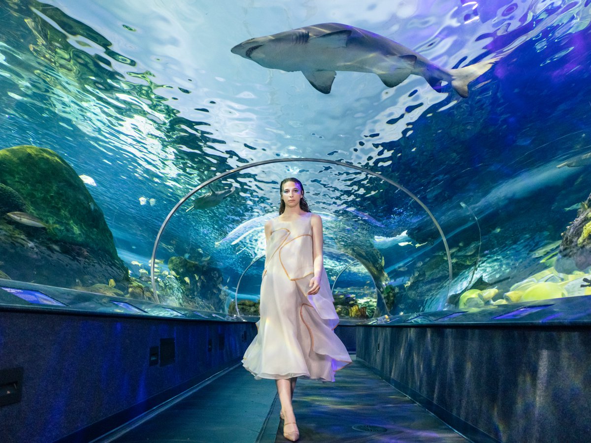 iconmodels's tweet photo. Underwater🌊

ICON Model: Meadow

Designer: Shaghayegh Tafreshi
Director of photography: Jenn Jevons

#fashion #fashionarttoronto #FAT #fashionmodel #fashionphotography #femalemodel #modeling #modelingagency #talentagency #icon #iconmodels #iconmodelmanagement #toronto #canada https://t.co/e2NJsBNGj0