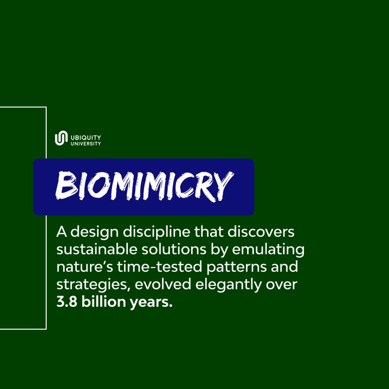 Beyond Smart teaches biomimicry lessons for the Human Hive - learn in 3 easy lessons - Maps, Mesh, Hive patterns. Details here ow.ly/Mxi850FFqyY