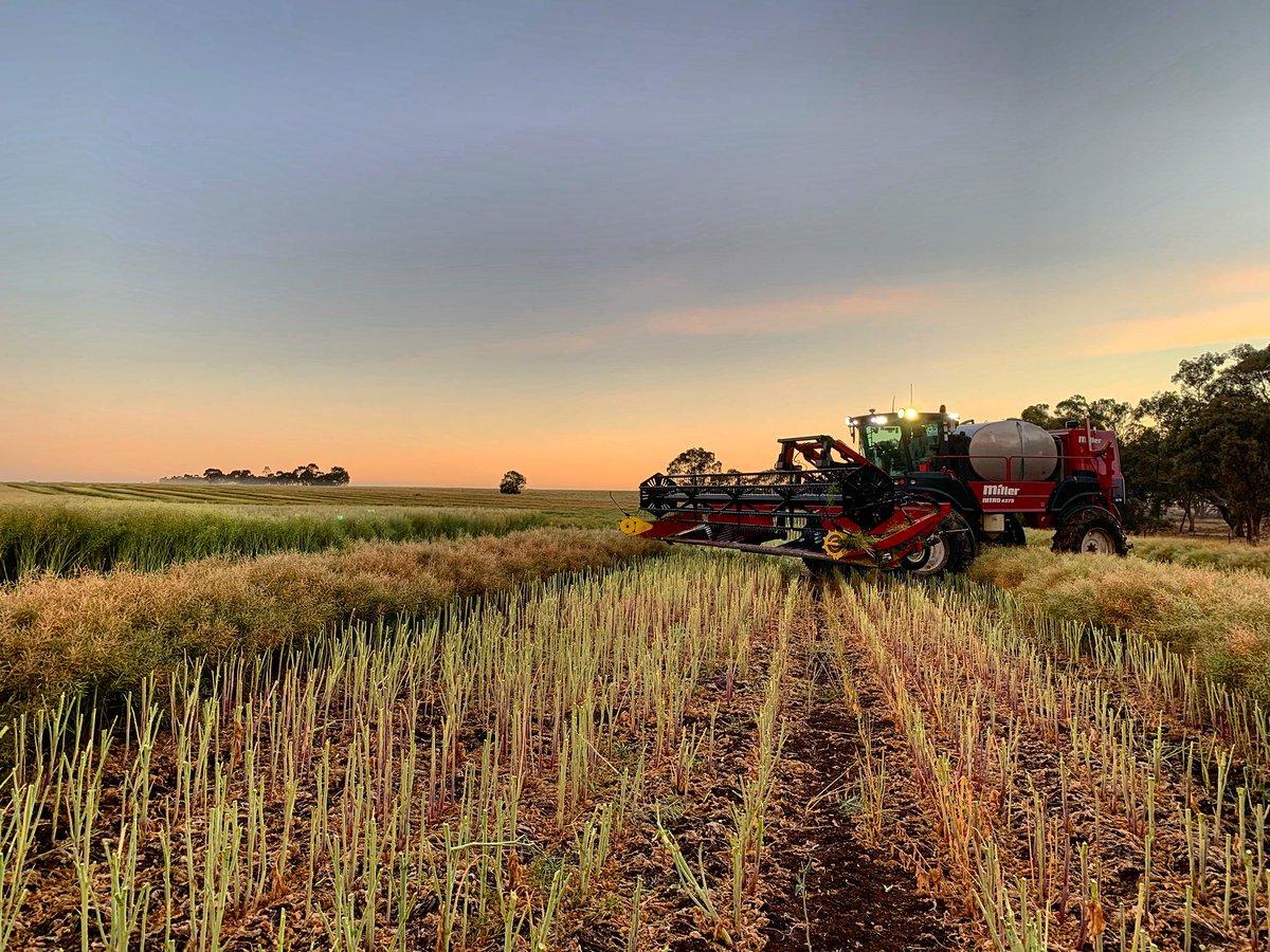 Mark Merrett tweet media