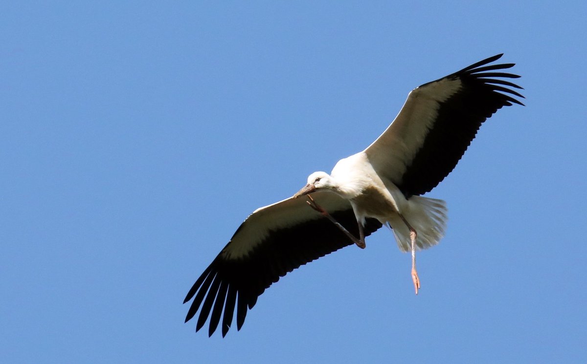 Marianne Born 🕊🇺🇦 tweet media