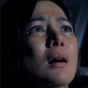 Happy Birthday to Alice Dixson     