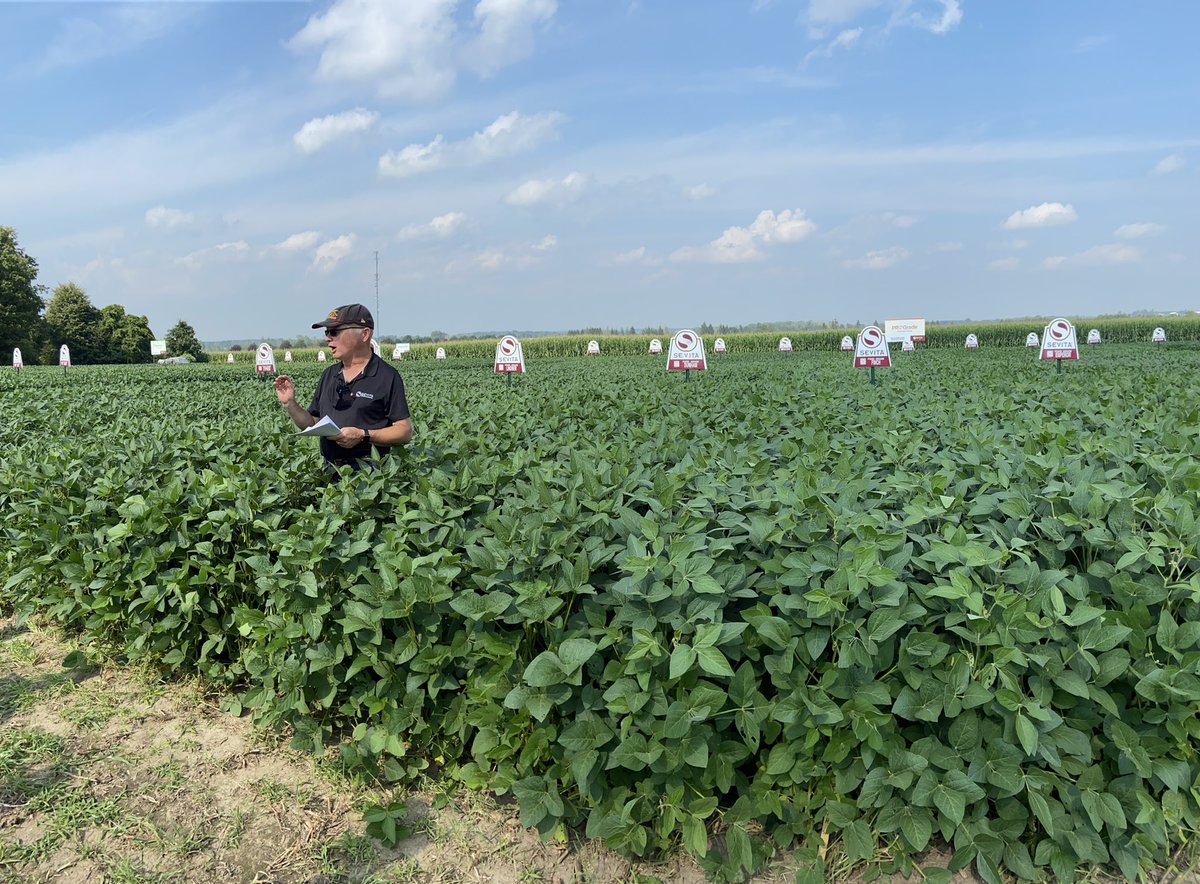 Great sunny afternoon looking at our new 2022 varieties <a href="/Sevita_Int/">Sevita International</a>