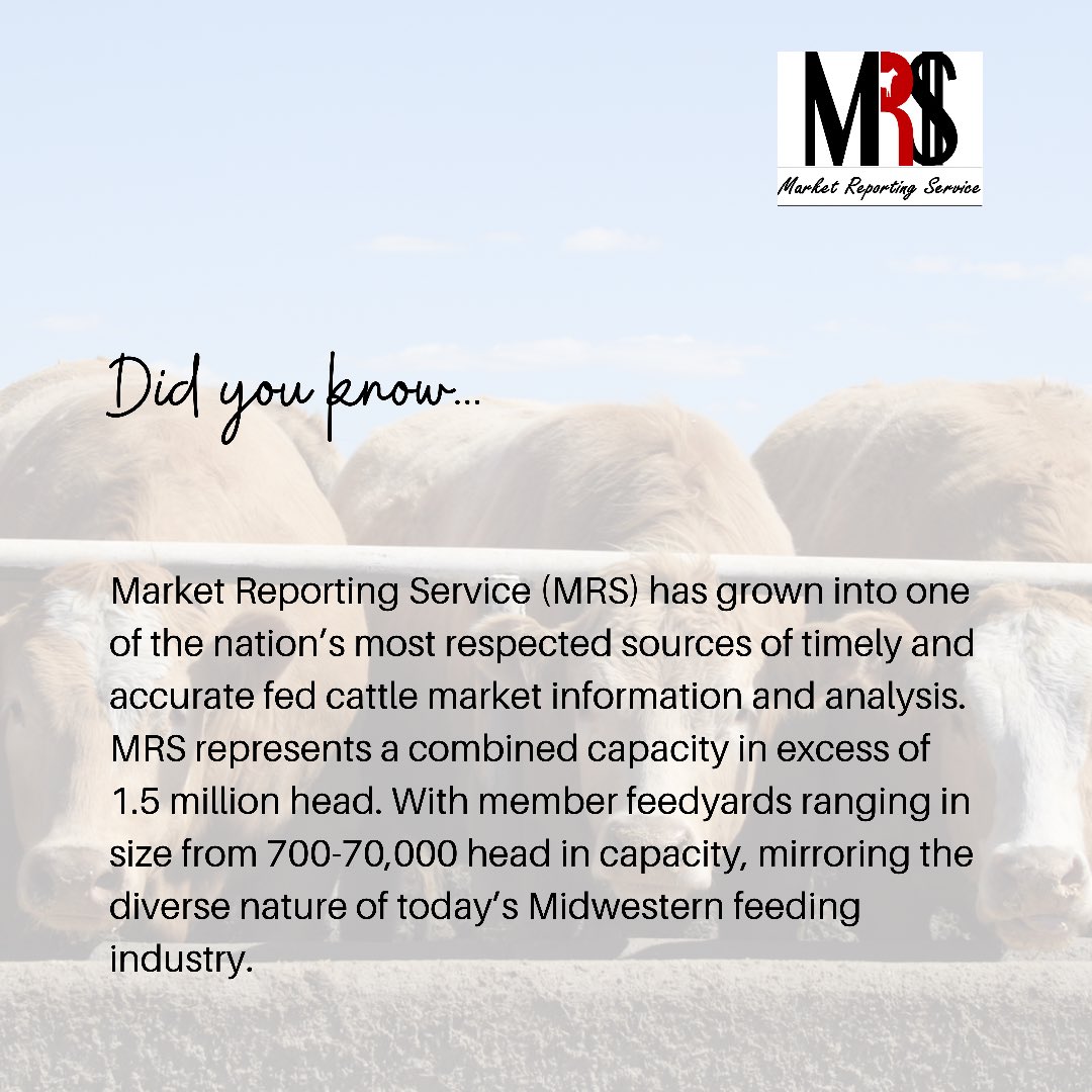 NECattlemen's tweet photo. Market Reporting Service (MRS) is a service offered by the Nebraska Cattlemen to help you make informed fed cattle marketing decisions.

More information: https://t.co/r8UHSpy7KN
 
#NCPrograms #cattlemarkets #MRS #MarketReportingService https://t.co/j2o6x2fx0C