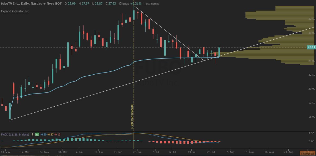 GuideMinerva's tweet image. $PLTR $CHPT $FUBO What a move from these 3!