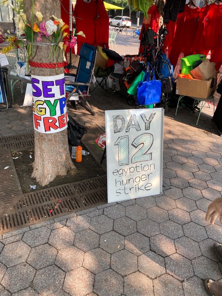 al_bagoury's tweet photo. #UNHungerStrike
These signs are made by David, an 80 years old American, who visits to support the strikers daily ❤️ https://t.co/CwbqGaFJqK