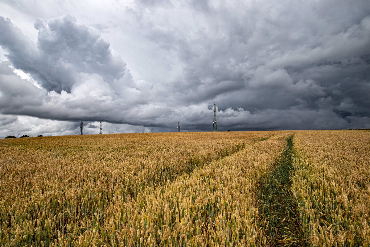stevesamosa's tweet image. Summer storm clouds over #Billinge
#StormHour #stormy #cloudburst #rain #sthelens #Thunderstorms #stormchaser #Merseyside #Lancashire #Summer2021 #summertime 
@metoffice @BillingeBlog @sthelensstar @BBCNWT @Beau_Liverpool @scousescene @ExploreLpool